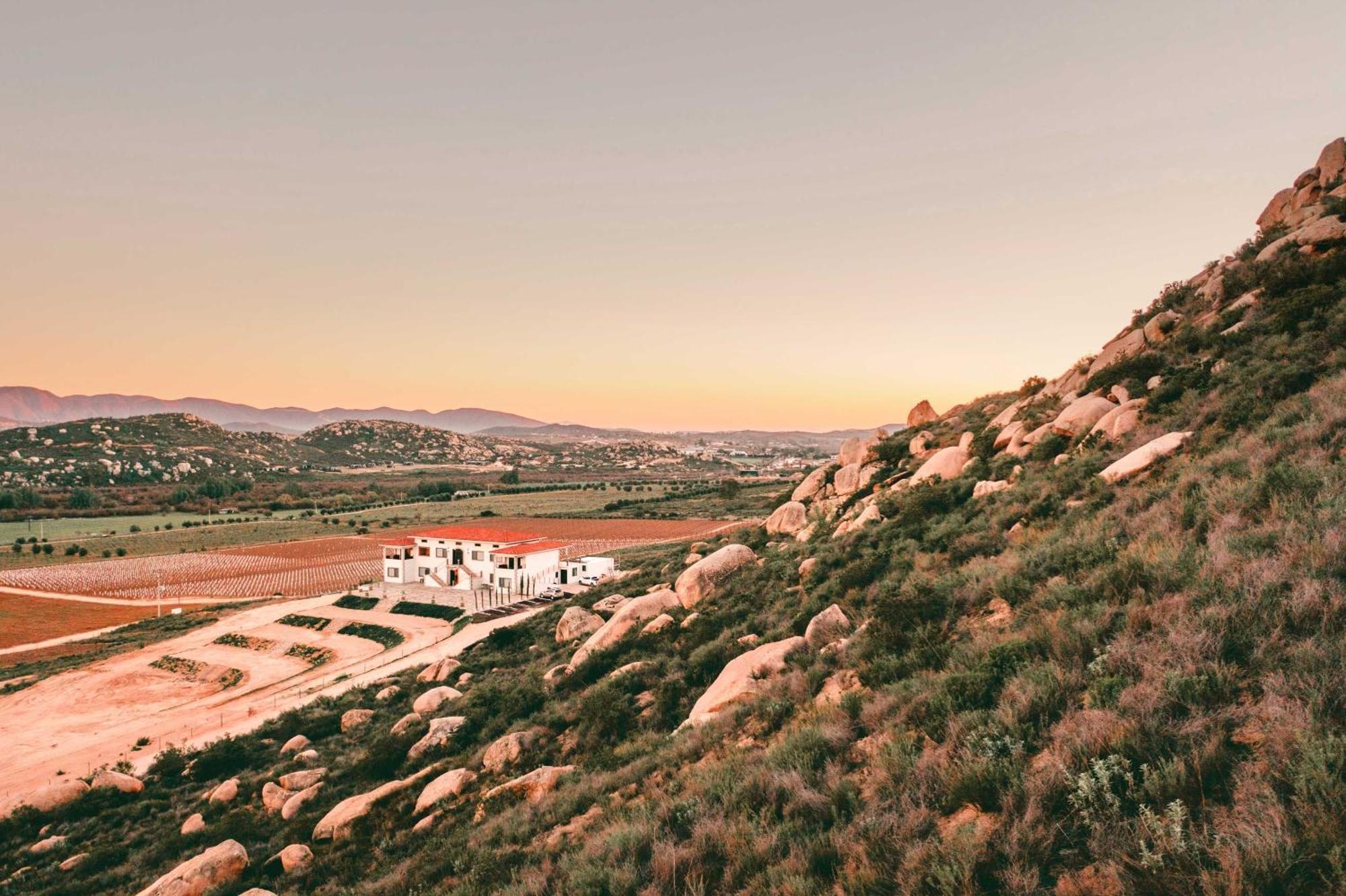 Villa Montefiori Valle de Guadalupe Dış mekan fotoğraf